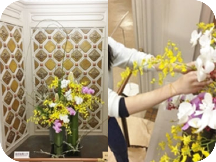 京都やんちゃフェスタのイメージ画像